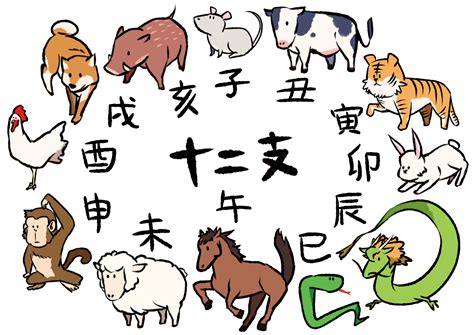 十二干支|干支（十二支）の順番と由来は？各動物の意味・特徴。